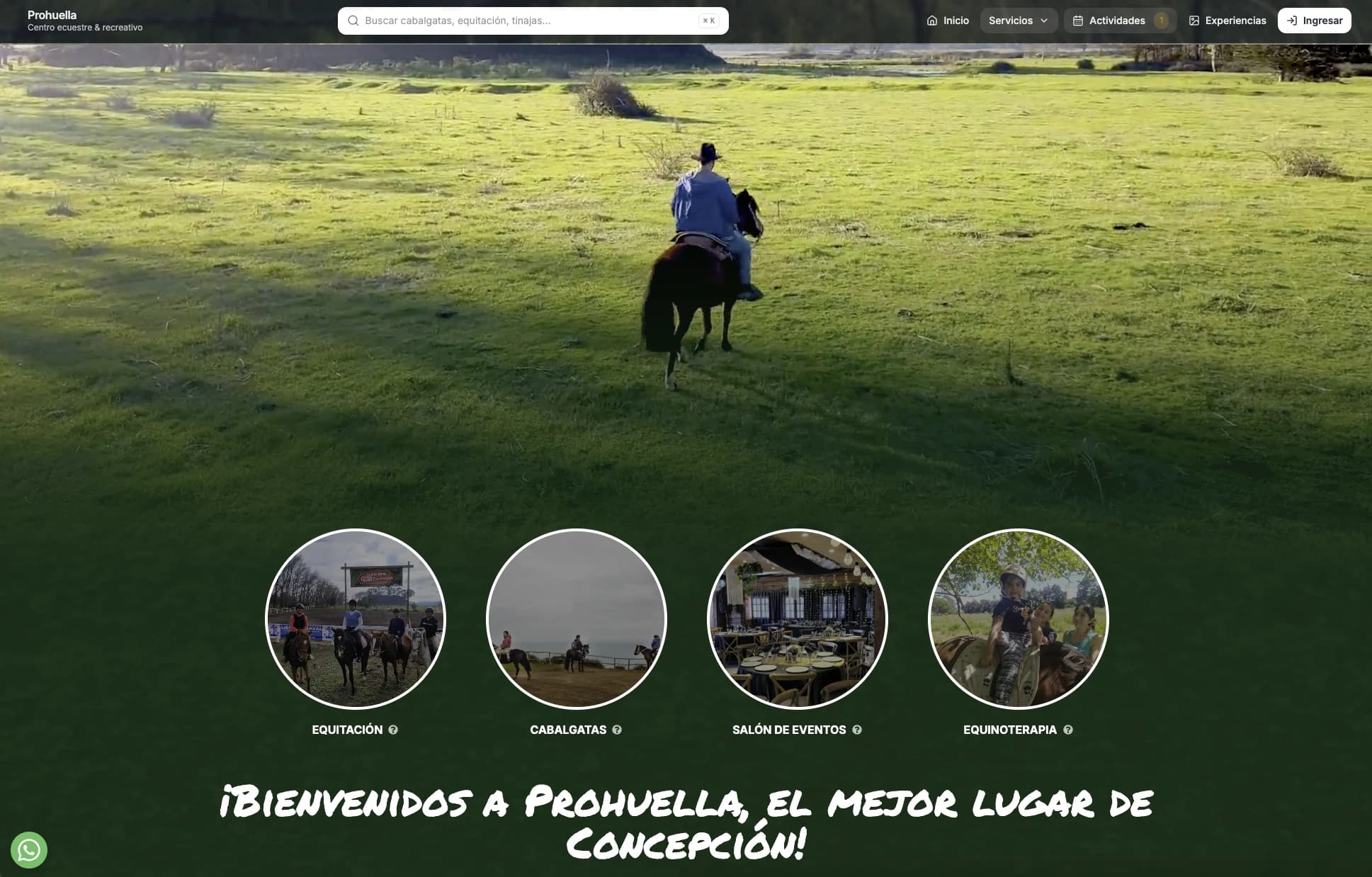 Plataforma de reservas online y tickets QR en Chile